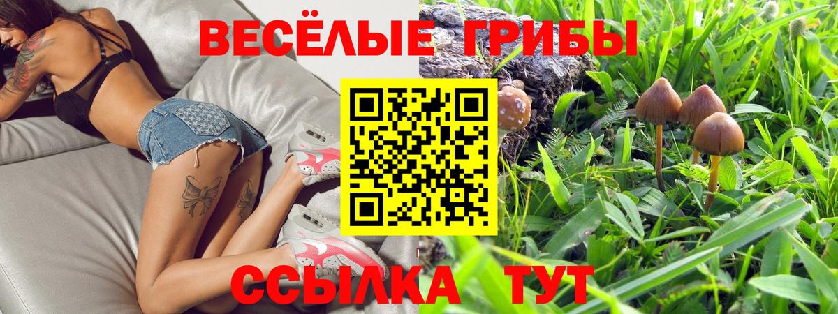 Псилоцибиновые грибы прущие грибы  Вход с VPN  Псилоцибиновые грибы Psilocybine cubensis  Архангельск 